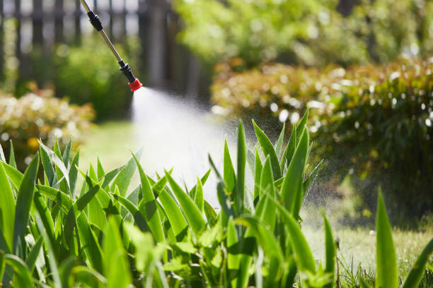 Tamper-Resistant Bait Stations for Rodents in Mississippi State