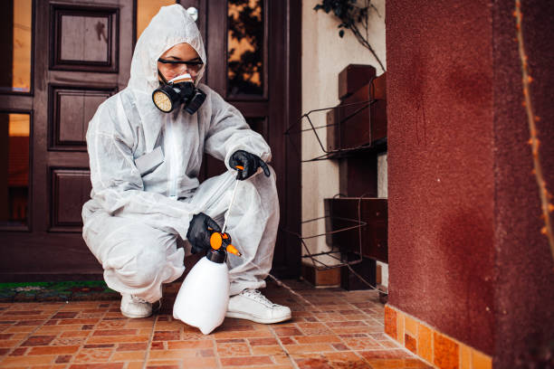 Attic and Crawl Space Rodent Treatment in Mississippi State