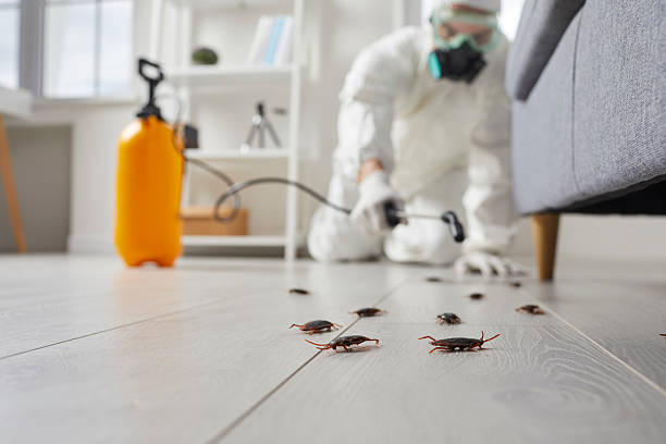 Commercial Rodent Management in Mississippi State